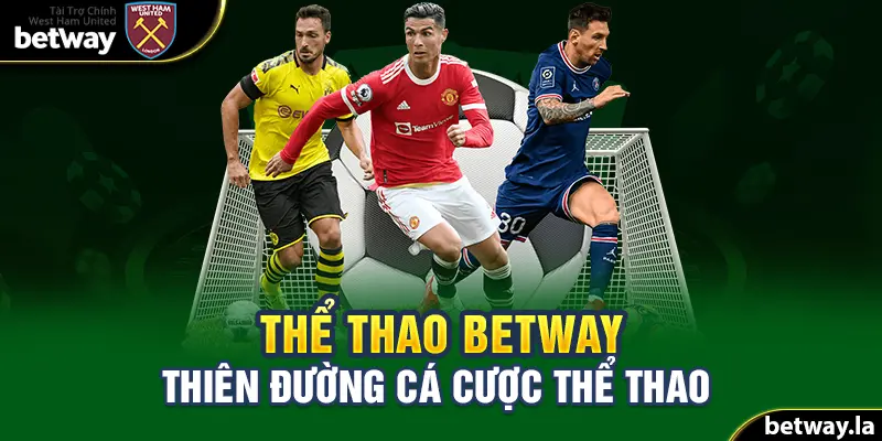 Thiên đường cá cược - Thể thao Betway